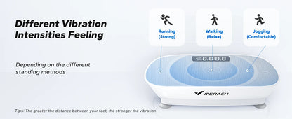 Fitness plate-forme vibrante brûle graisse